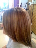 Highlights