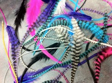 A variety of the feather extensions.
